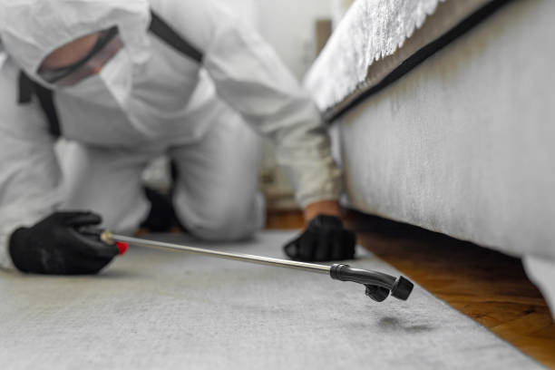 Professional Termite Control technician working in Elizabeth, PA