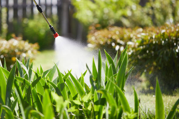 24/7 Emergency Termite Control experts in Elizabeth, PA